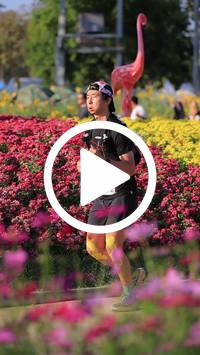 BIB:  <button type="button" onclick="openModal(27588609)" class="btn btn-primary btn-sm float-right" data-toggle="modal" data-target=".modal-high-quality">
                <i class="fa fa-download"></i> Download
                </button>